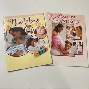 The New Mom’s Handbook The First-Time Mom's Pregnancy Handbook  (2 New)